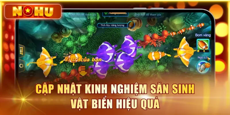 Cập nhật kinh nghiệm săn sinh vật biển hiệu quả