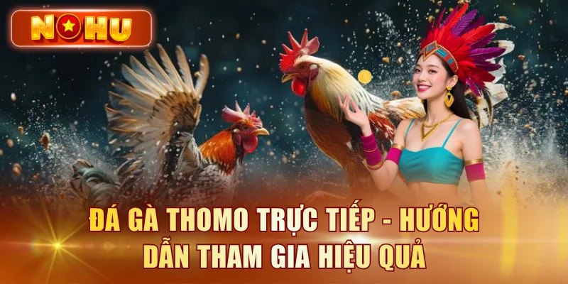 Đá Gà Thomo Campuchia - Xem Trực Tiếp Full HD Miễn Phí Đá gà Thomo